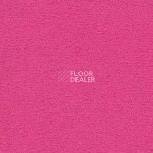 Ковролин Radici Nexus Fuxia 8272 фото 1 | FLOORDEALER